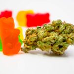 Understanding Delta-8 and Its Interactions with Drug Testing